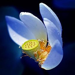 《如龙8》桐生一马配音演员不赞同“新游戏+”收费